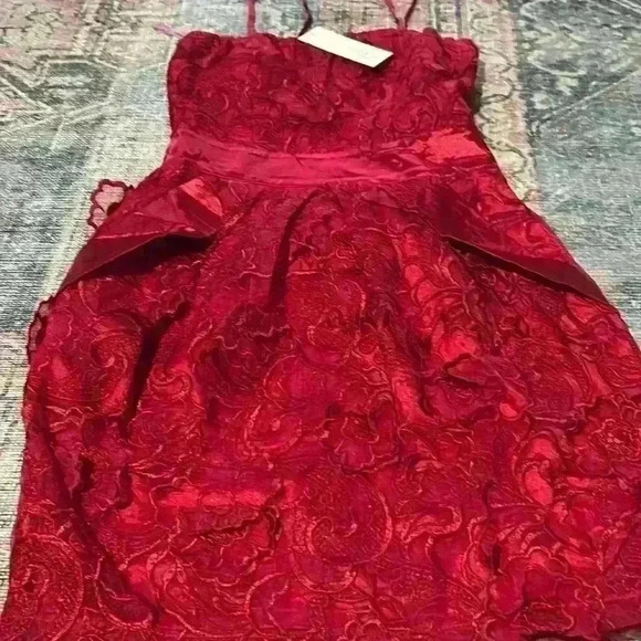 Lucy & Co gorgeous dress - Picture 1 of 4